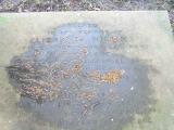 image of grave number 305186